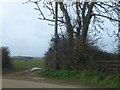 Gateways near Penhallow Farm