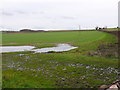 SY8896 : Waterlogged Field near Botany Bay Farm by Nigel Mykura