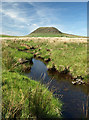D2203 : Moorland stream by Robert Ashby