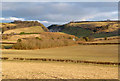 Chiltern Scarp & M40 Cutting