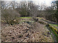 Sankey Canal from Penkford Bridge