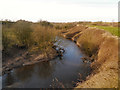 Sankey Brook from Penkford Bridge