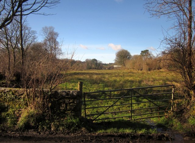 Field by the Wadley Brook