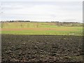 Fields near Dalvey