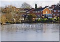 SO8377 : Birds on the frozen pool, Springfield Park, Kidderminster by P L Chadwick