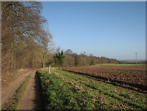TL5053 : Byway and Long Plantation by John Sutton