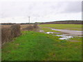 SY8693 : Fields at Lower Woodbury by Nigel Mykura