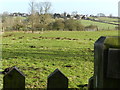 Field at start of footpath