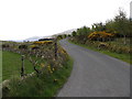 View east along Fofanny Road