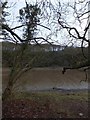 Mud flats in Trevella Stream