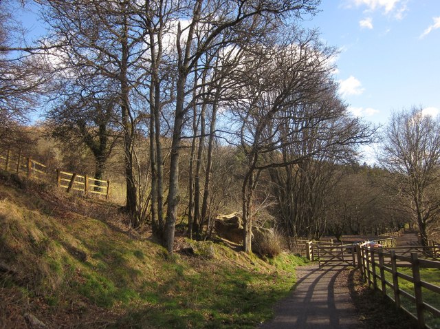 Wray Valley Trail near Budleigh Farm © Derek Harper cc-by-sa/2.0 ...