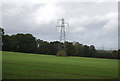 TQ6345 : Pylon in a field by N Chadwick