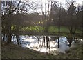 Pond near Budleigh Farm