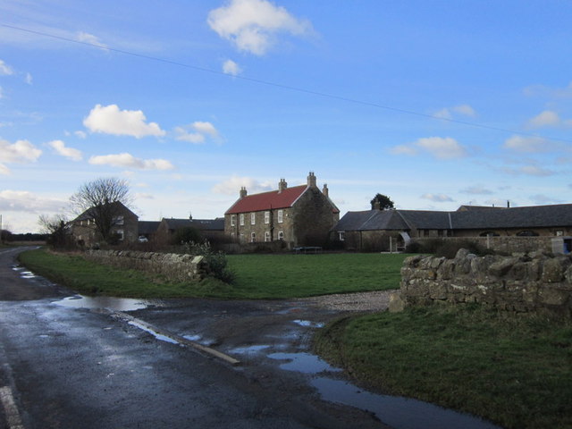 Houses at Druridge