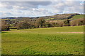 View over Ullingswick