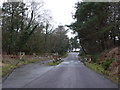 Cattle Grid on Higher Hyde Heath