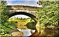 Lyne Bank Bridge