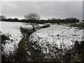 Fernagh Townland