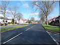 Scott Hall Road - viewed from Broomhill Drive