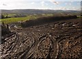 Muddy tracks near Pepperdon Farm