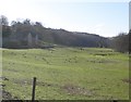 Sheep pasture, Bickham Farm