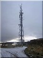 NT9854 : Halidon Hill communications mast by Graham Robson