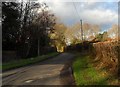 Hanging Birch Lane near Horam