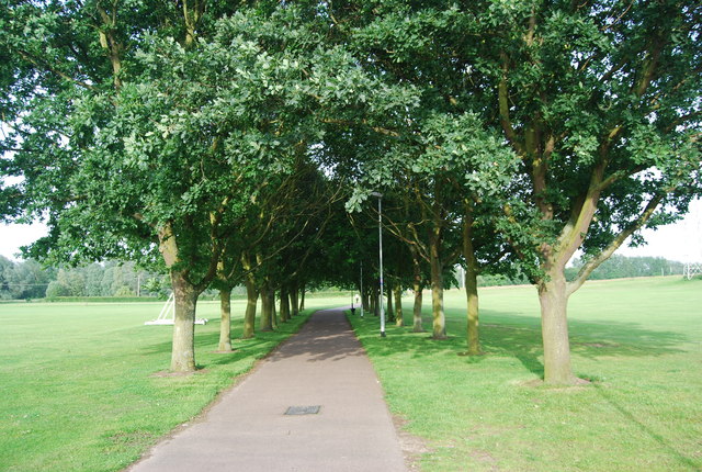 Tree lined path