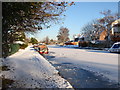 Winter -frozen canal