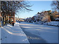 Winter -frozen canal