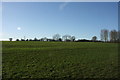 Farmland near Burnt Mill