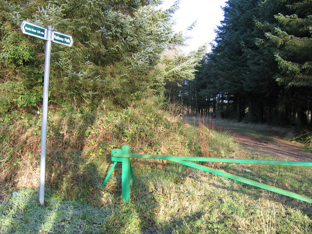 Railway Path