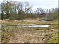 Former quarry, north of Bar Lane