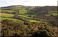 Fields at Kingwell