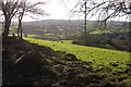 Field and view, Shute Lane