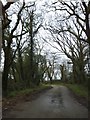 Woodland at Killiserth