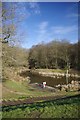 Lake on Loughton Brook