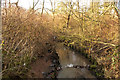 Mill Brook a tributary of the River Lostock