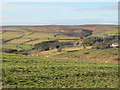 Farmland north of East Cot House