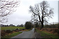 The lane towards Gronfoel