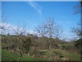 The valley of the Clanrye River north of the B8