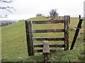 Pen yr Allt, Trecastell