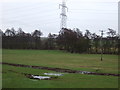 Farmland, Hooton Common Farm