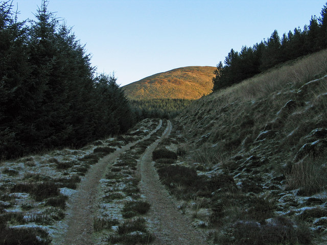 Forest road on north side of Glenrief Rig
