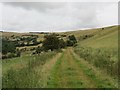 Llwybr ceffyl Nantgwared  / Nantgwared bridleway