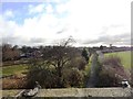 Looking across from the old railway near South Pelaw