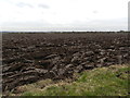 Ploughed field at Toot Hill