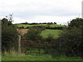 Field gate providing a view of a drumlin