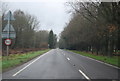 A264, Holtye