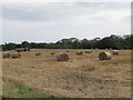 Gathering straw bales alongside the Glebe Road